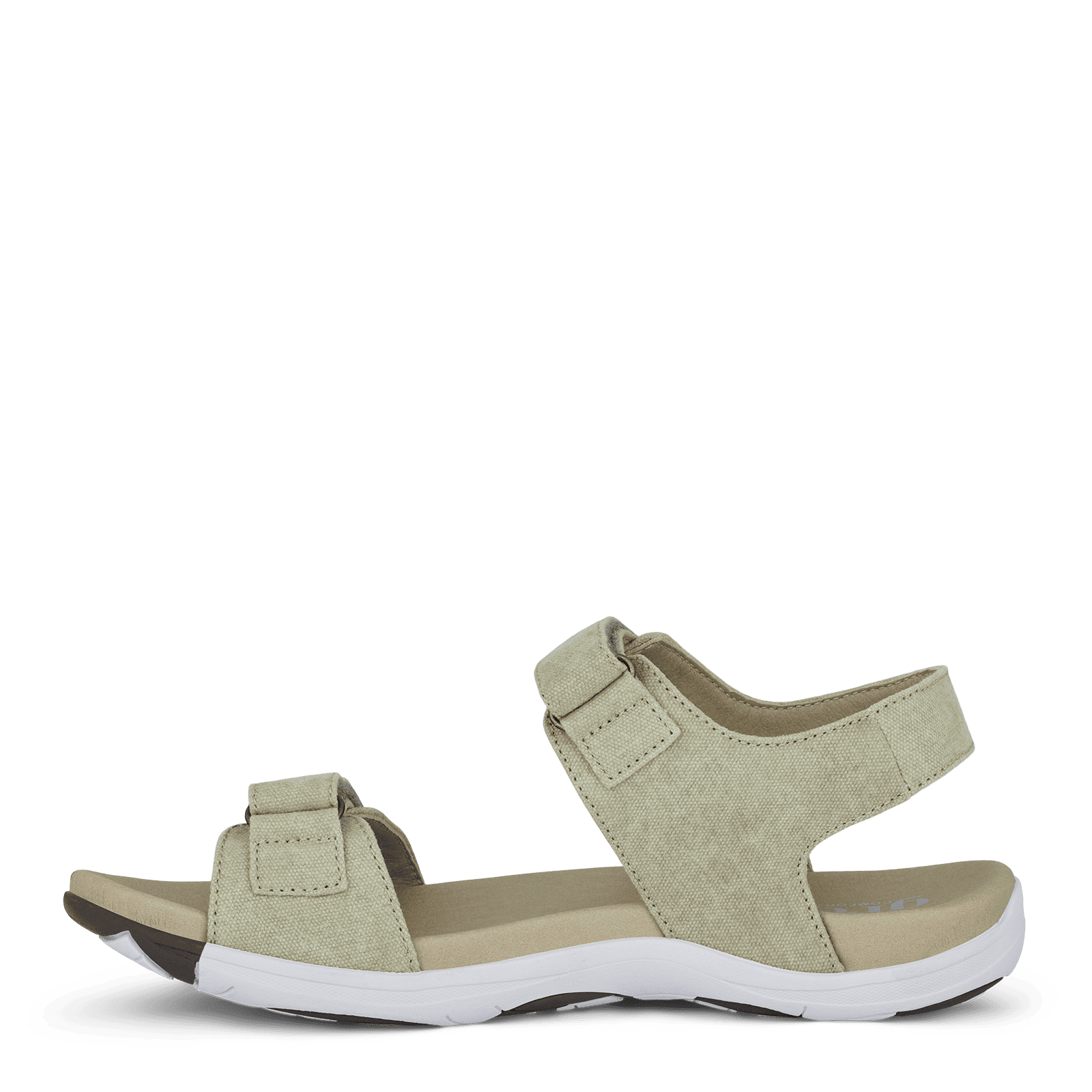 CORSICA CHRISTA - SAGE